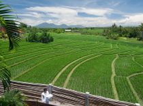 Villa Shalimar, View to Rice Fields